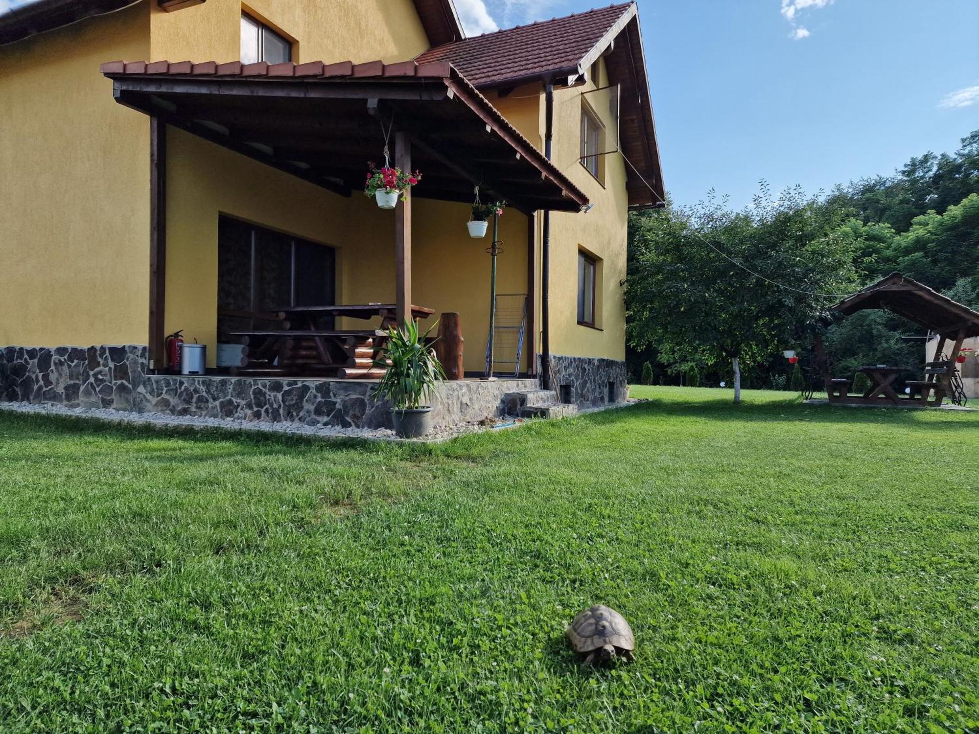 Casa Maya Săsciori Eksteriør billede